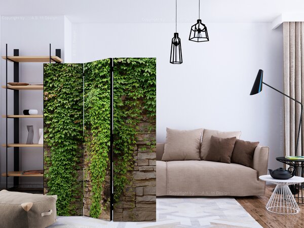 Paravan - Ivy wall
