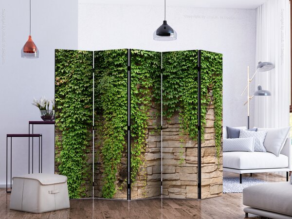 Paravan - Ivy wall II