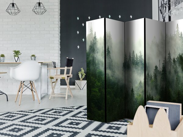 Paravan - Coniferous Forest II