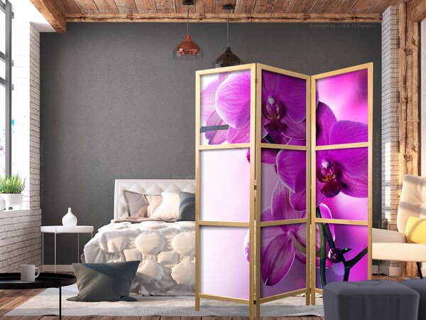 Japanski paravan - Violet Orchids I