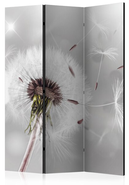 Paravan - Grasping the Invisible