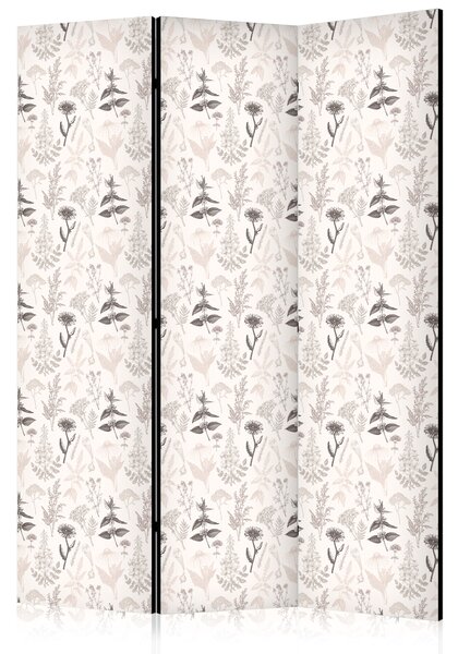 Paravan - Botanical Illustration - Drawing of Flowers and Herbs - Beige Grays