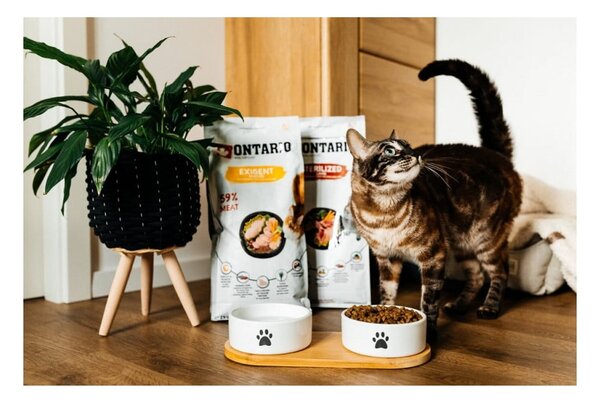 Keramičen komplet posod za pse s podstavkom ø 13 cm Dog Fantasy – Plaček Pet Products