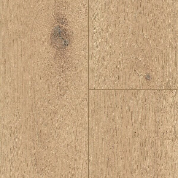 LOGOCLIC Silentos Laminat Hrast Forli (Rustikalen videz, 1.288 x 195 x 9 mm) productname.garantie.plussign BAUHAUS garancija 15 let