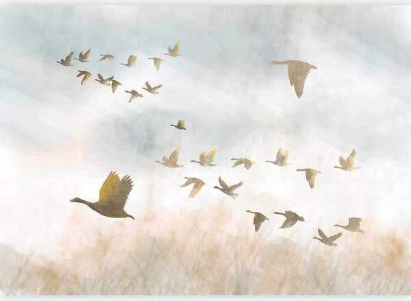 Artgeist Fototapeta Golden Geese, 150x105cm