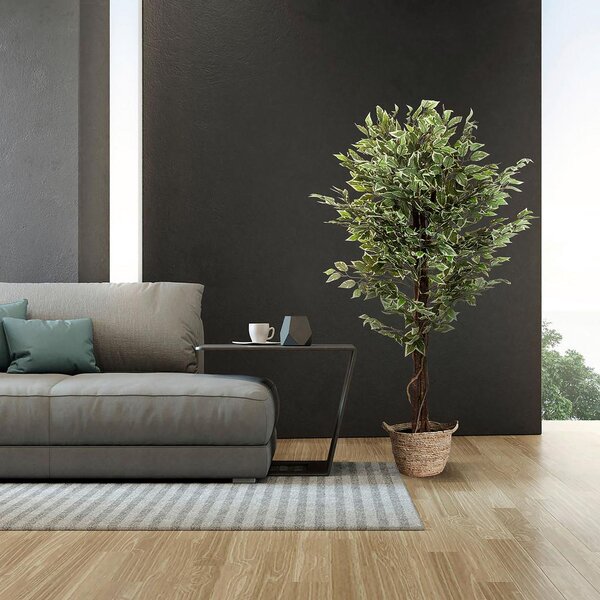 MID.YOU Umetna Rastlina Ficus
