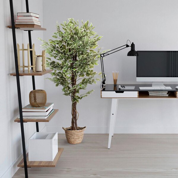 MID.YOU Umetna Rastlina Ficus