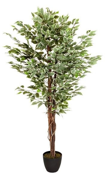 MID.YOU Umetna Rastlina Ficus