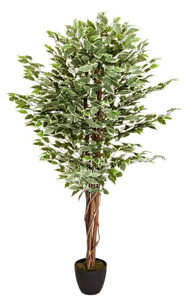 MID.YOU Umetna Rastlina Ficus
