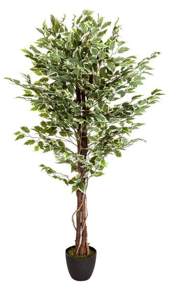 MID.YOU Umetna Rastlina Ficus
