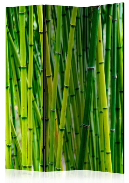 PARAVAN 135/172/3 cm svetlo zelena