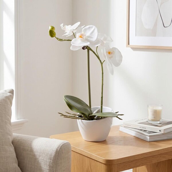 Based Umetna Rastlina Orchidee Ii -Based-