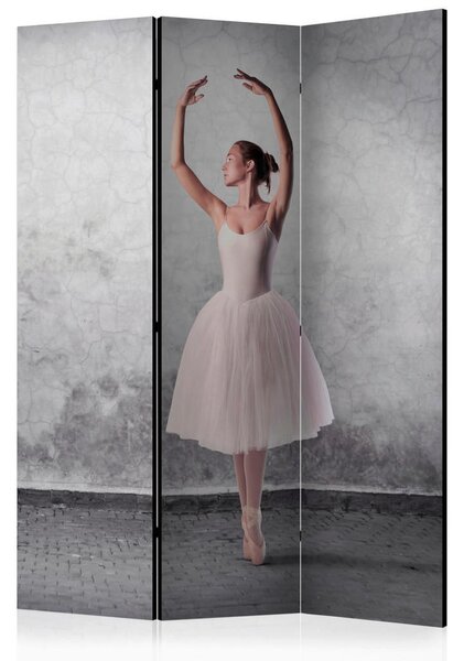 PARAVAN 135/172/3 cm siva, pink