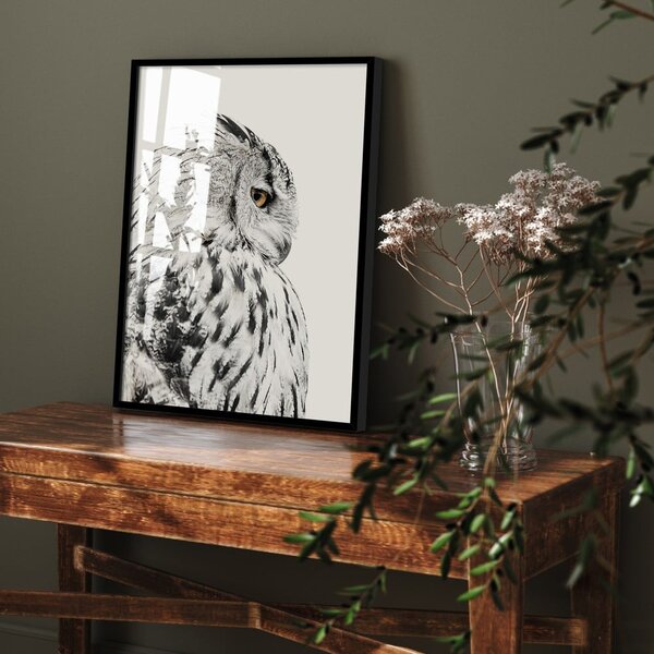 Plakat v okvirju 50x70 cm Owl - Styler