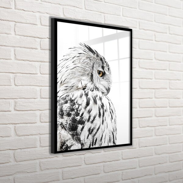 Plakat v okvirju 50x70 cm Owl - Styler