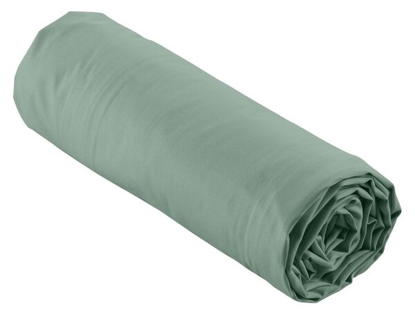 Zelena napenjalna rjuha iz bombažnega perkala 160x200 cm Percaline – douceur d'intérieur