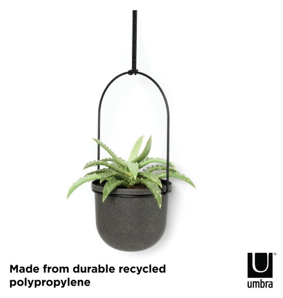 Plastični okrasni cvetlični lonci v kompletu 5 ks za zelišča/viseči ø 7,5 cm Triflora – Umbra