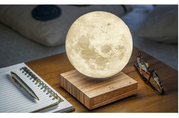 Rjava LED namizna svetilka (višina 14 cm) Moon – Gingko