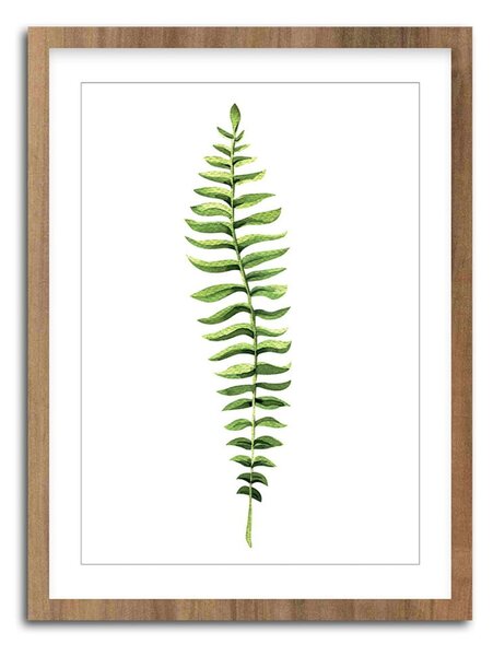 Plakat Styler Modernpik Greenery Wooden Fern, 30 x 40 cm