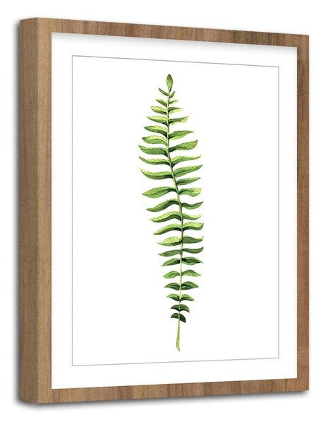 Plakat Styler Modernpik Greenery Wooden Fern, 30 x 40 cm