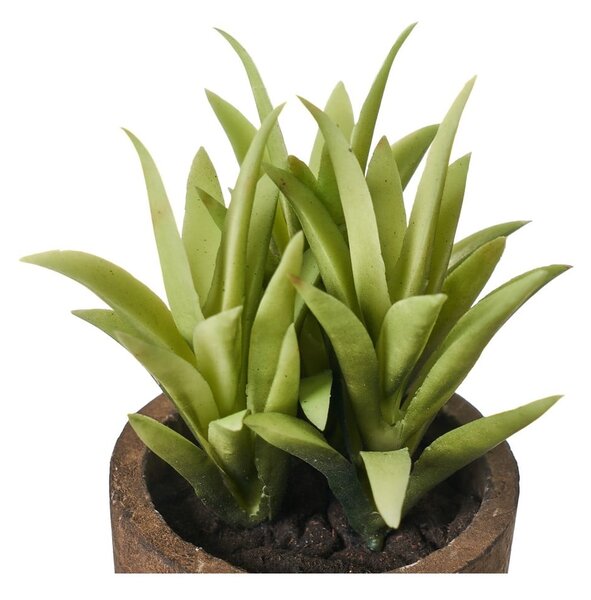 Umetne rastline v kompletu 4 ks (višina 10 cm) Cactus – Casa Selección