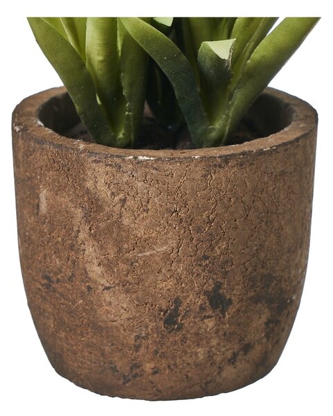 Umetne rastline v kompletu 4 ks (višina 10 cm) Cactus – Casa Selección