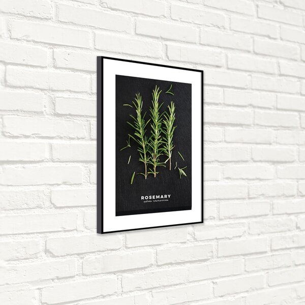 Plakat v okvirju 50x70 cm Rosemary - Styler