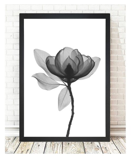 Plakat Tablo Center Harmony Flower, 24 x 29 cm