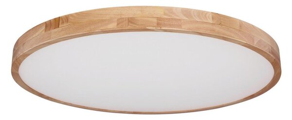 Globo Stropna Led-svetilka Rainer, S Sijalko