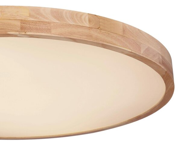 Globo Stropna Led-svetilka Rainer, S Sijalko