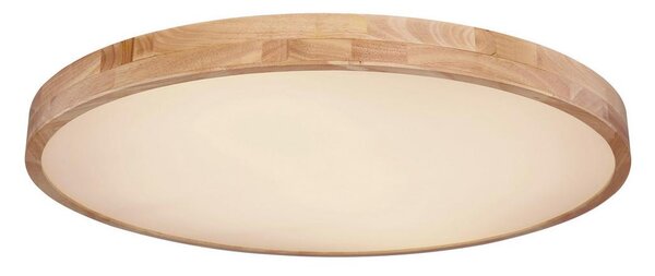Globo Stropna Led-svetilka Rainer, S Sijalko