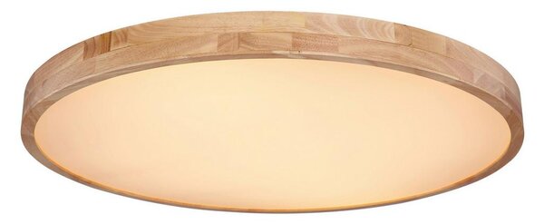 Globo Stropna Led-svetilka Rainer, S Sijalko