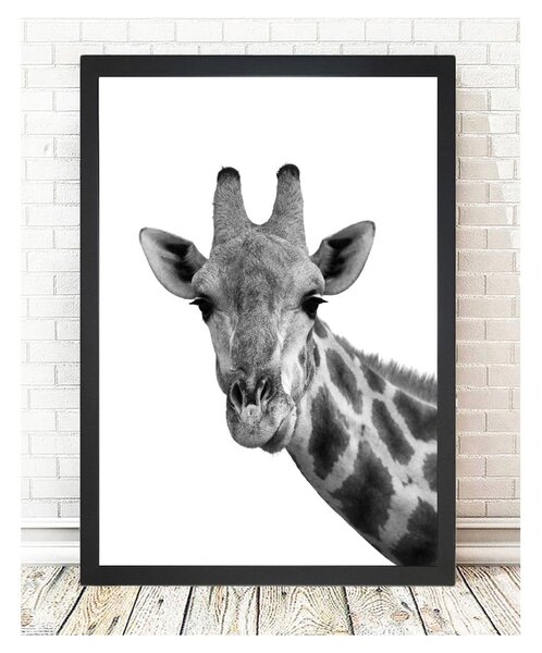 Plakat Tablo Center Giraffe Portrait, 24 x 29 cm