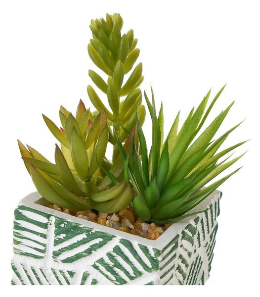 Umetne rastline v kompletu 3 ks (višina 12 cm) Cactus – Casa Selección