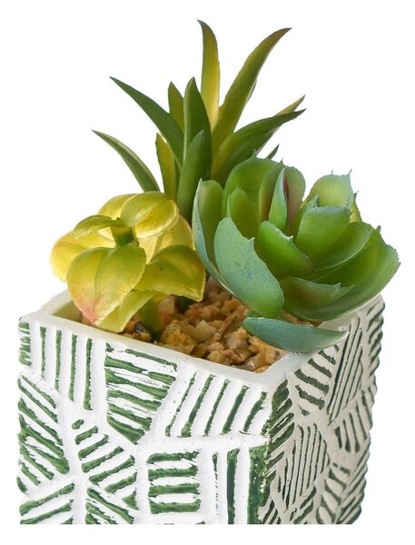 Umetne rastline v kompletu 3 ks (višina 12 cm) Cactus – Casa Selección