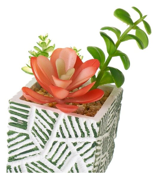 Umetne rastline v kompletu 3 ks (višina 12 cm) Cactus – Casa Selección