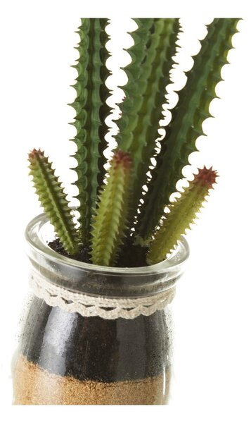 Umetne rastline v kompletu 4 ks (višina 18 cm) Cactus – Casa Selección