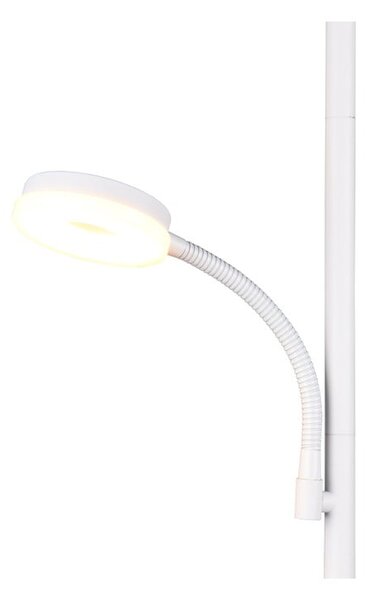 Bela LED stoječa svetilka (višina 178 cm) Specter – Trio