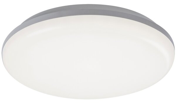 Rabalux 7979 - LED Zunanja stropna svetilka ERIC LED/24W/230V IP64