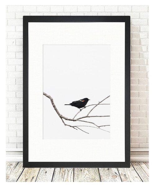 Plakat Tablo Center Birdy, 24 x 29 cm