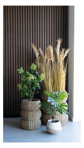 Umetna rastlina (višina 60 cm) Fig – House Nordic