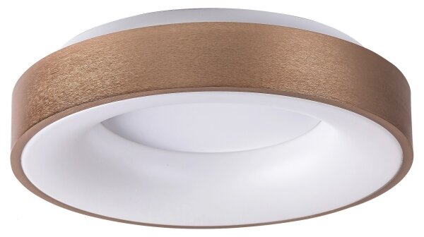 Rabalux 5052 - LED Stropna svetilka CARMELA LED/30W/230V