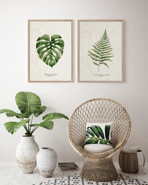 Plakat v okvirju 50x70 cm Monstera - Styler