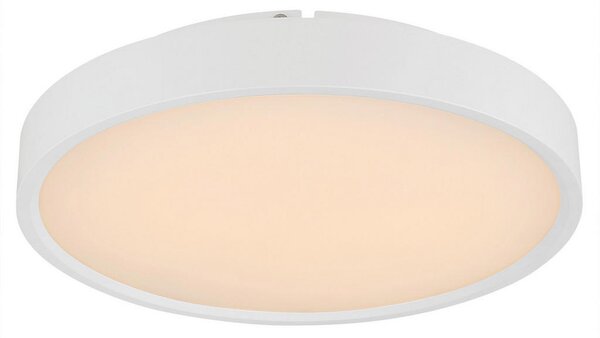 STROPNA LED-SVETILKA Jess 100-1200 lm 1800-12000 K 230 V