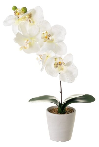 Umetna rastlina (višina 45 cm) Orchid – Casa Selección