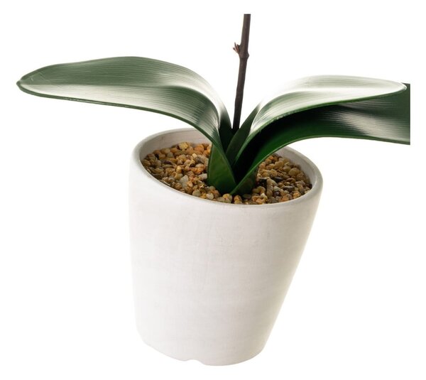 Umetna rastlina (višina 45 cm) Orchid – Casa Selección