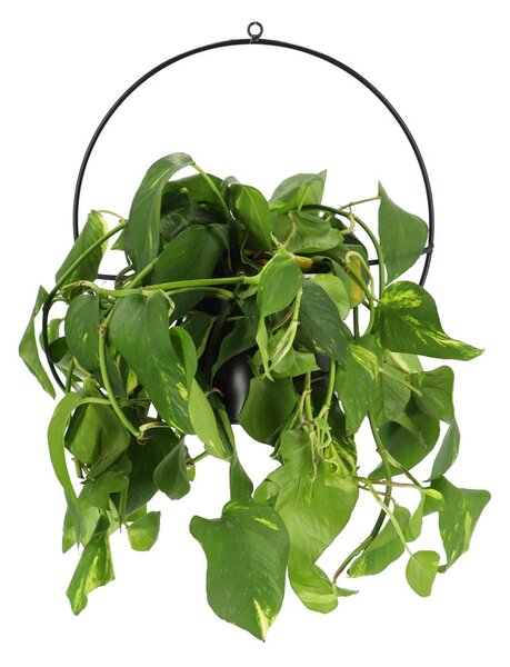 Črna stenska posoda za cvetlični lonček Esschert Design Planter