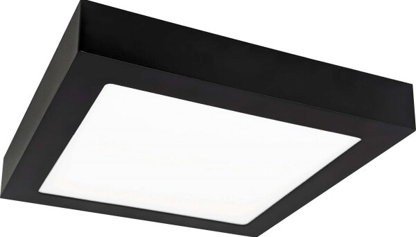 LED Stropna svetilka FENIX LED/12W/230V 2800K 17 cm