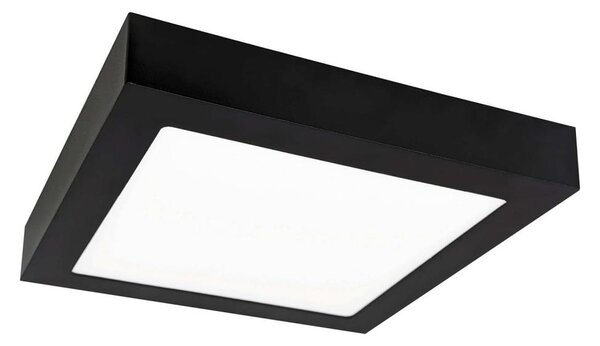 LED Stropna svetilka FENIX LED/12W/230V 2800K 17 cm