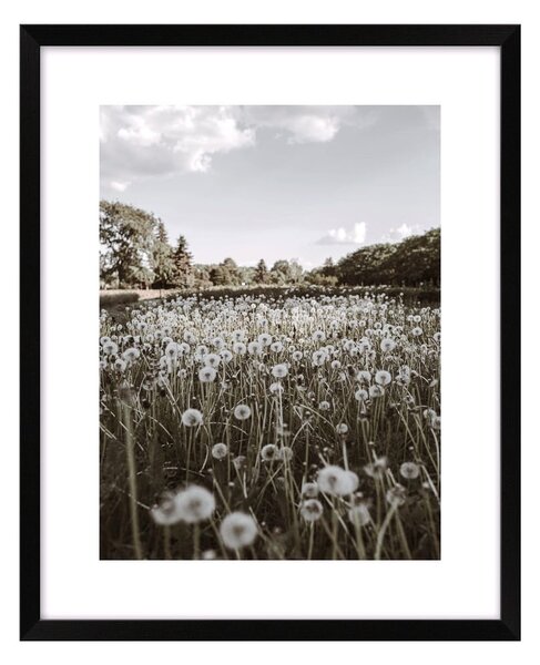 Plakat 40x50 cm Meadow